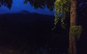 Evergreen Villa - Sinharaja