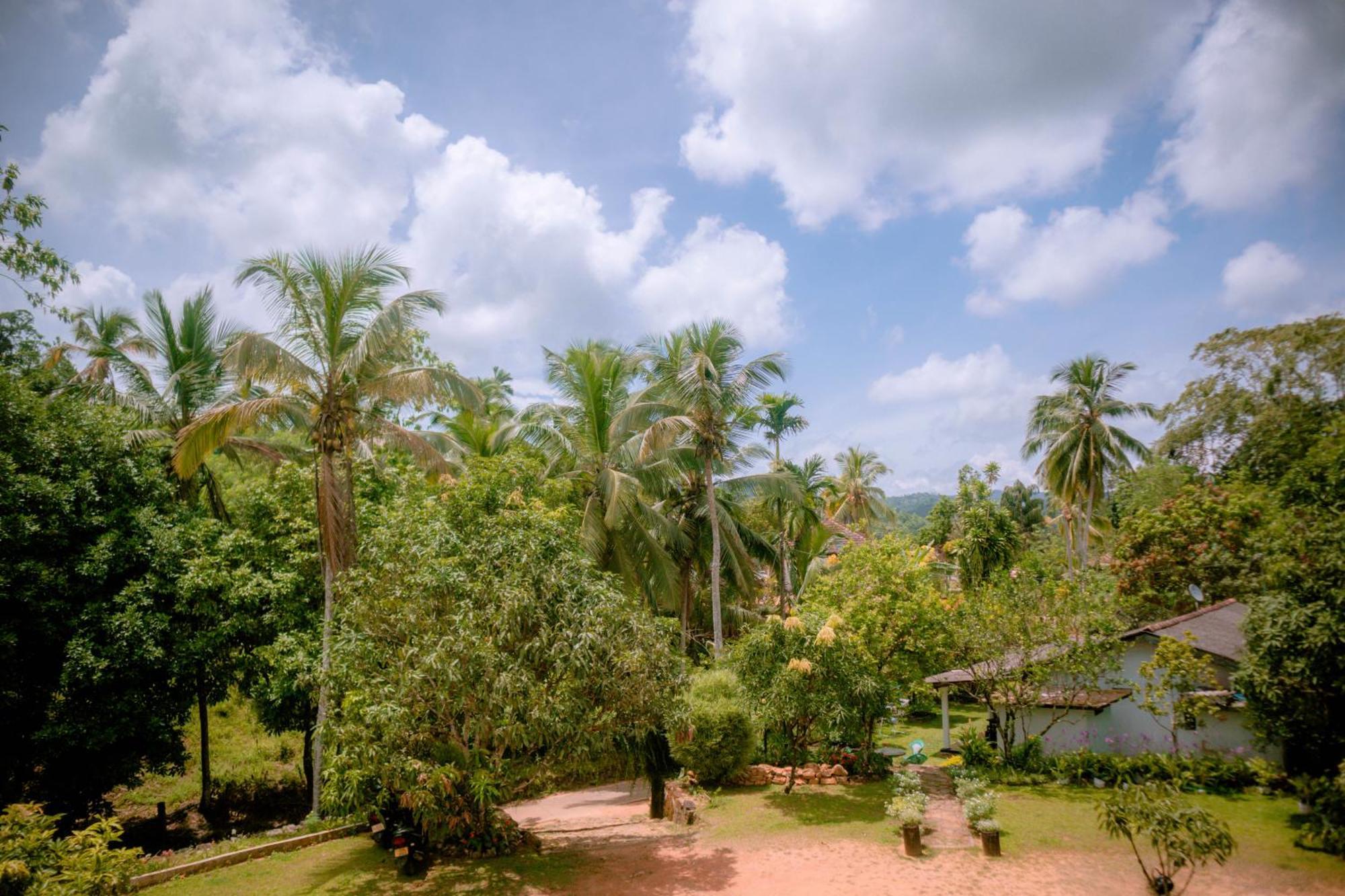 Evergreen Villa - Sinharaja Deniyaya Exterior photo