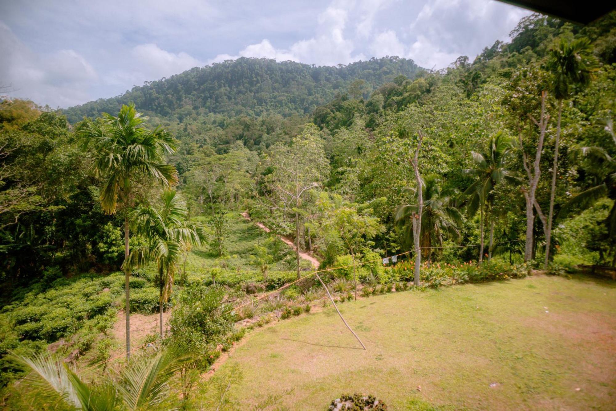 Evergreen Villa - Sinharaja Deniyaya Exterior photo