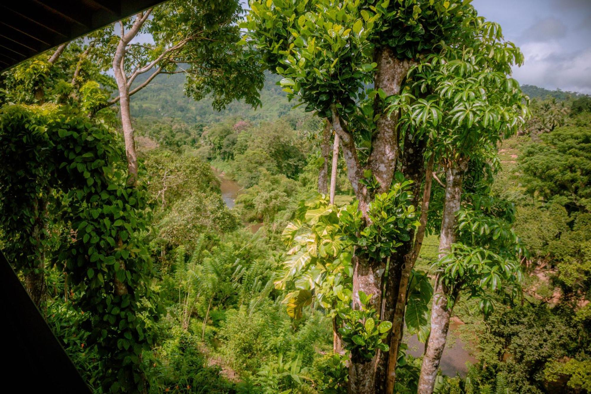 Evergreen Villa - Sinharaja Deniyaya Exterior photo