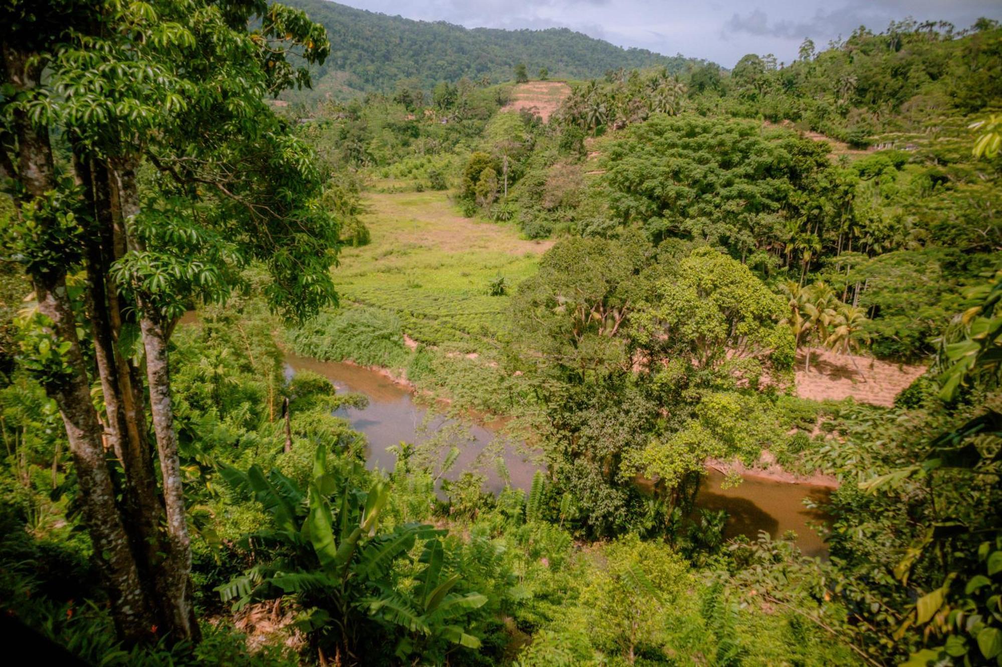 Evergreen Villa - Sinharaja Deniyaya Exterior photo